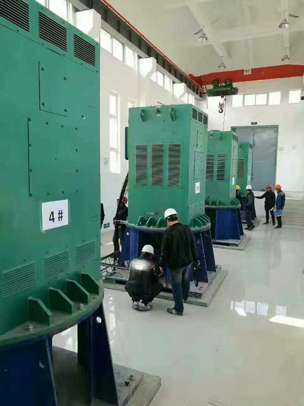 漳平某污水处理厂使用我厂的立式高压电机安装现场报价