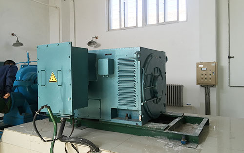 漳平某水电站工程主水泵使用我公司高压电机