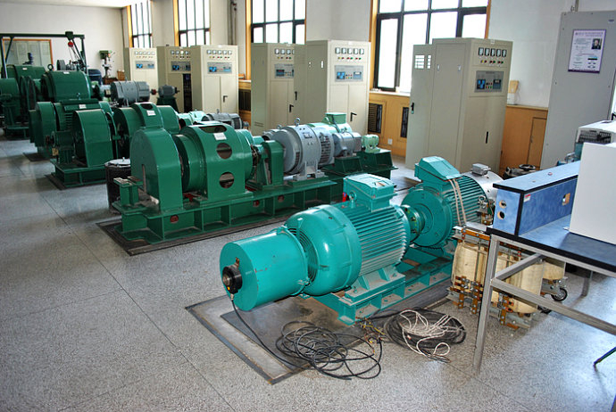 漳平某热电厂使用我厂的YKK高压电机提供动力